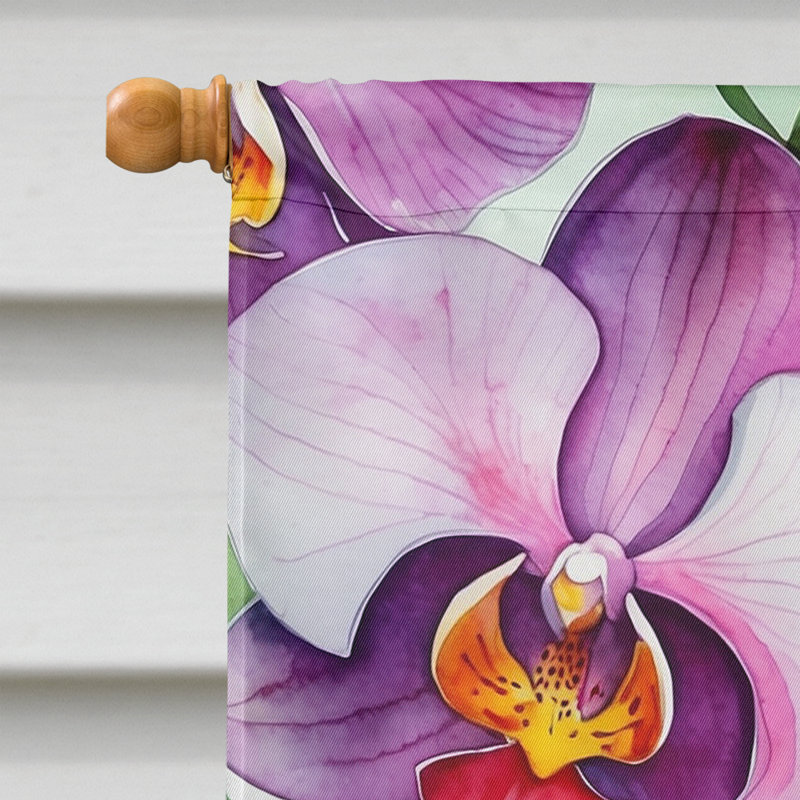 Drapeau de maison de fleurs Liatris, Orchidées phalaenopsis