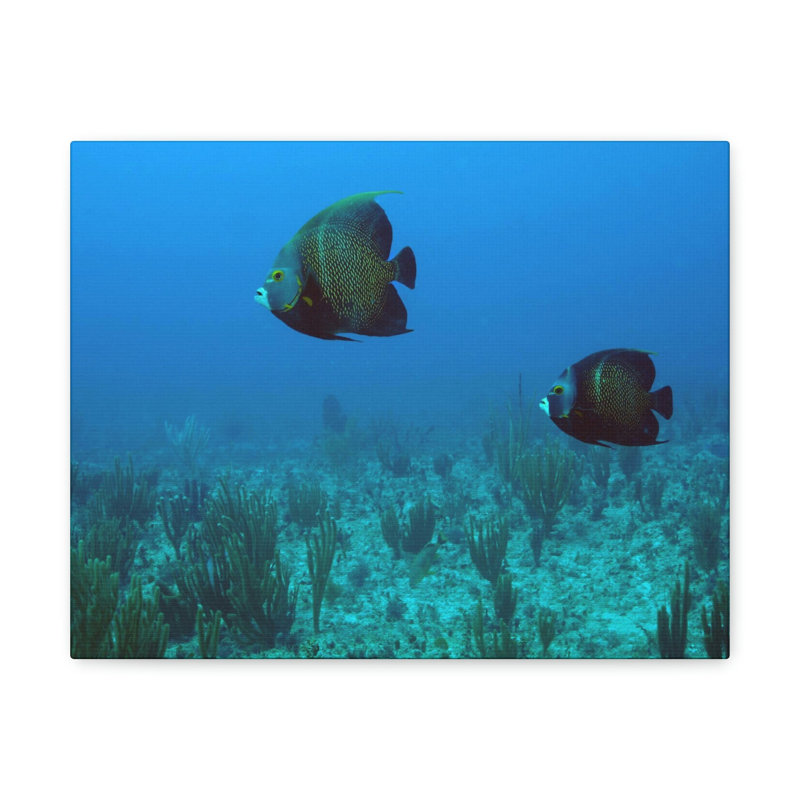 No Frame Print on Canvas, 27.94cm H x 35.56cm W