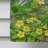 Double Sided Polyester Garden Flag-899804321
