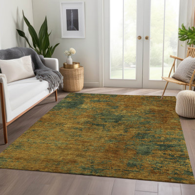 Machine Washable Indoor/Outdoor Chayden ACN1093 Copper Rug