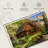 Log Cabin Home-1439371687