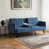 Blue Velvet