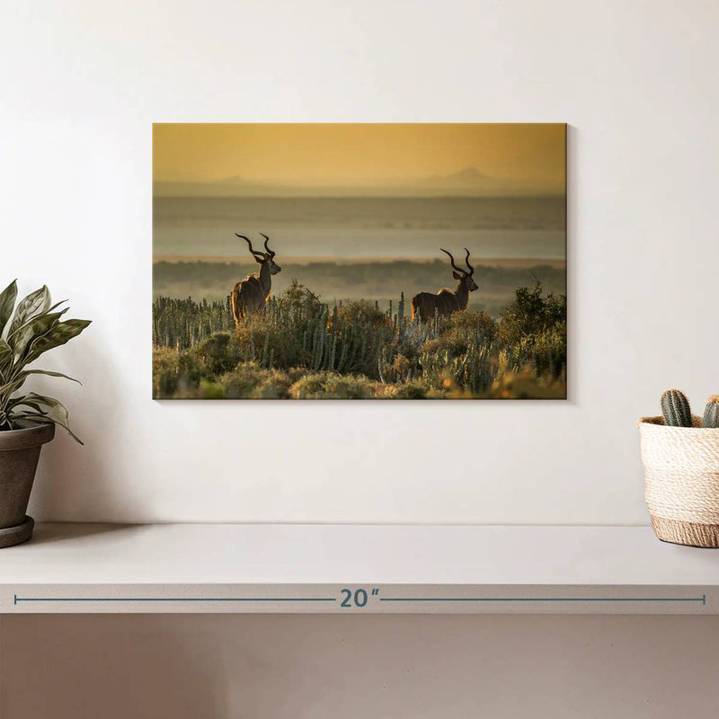Crowle Kudu Bulls, 8" H x 12" W