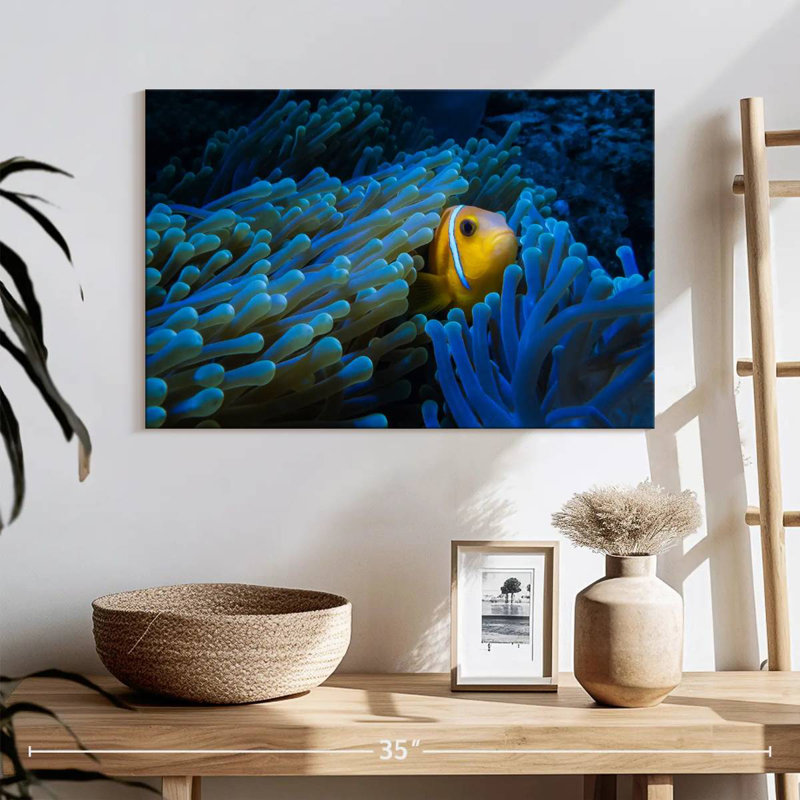 Lurking Clownfish, 16" H x 24" W