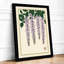 Cascading Wisteria Japandi - Framed Print-391914026-391914028