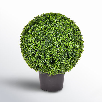 Artificial Green Boxwood Ball.