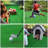 Artificial Grass Pet Turf-93746918-93746911