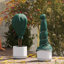 Vidaxl Plant Fleece Frost Protection Outdoor Plant Cover Garden Fleece 70 G/M²-124755371