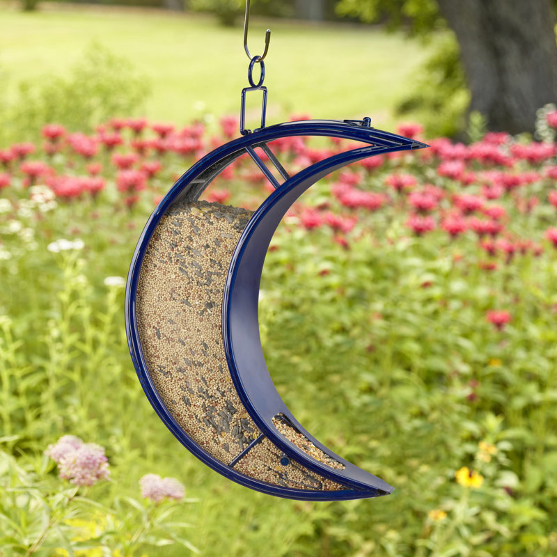 Mangeoire pour oiseaux Caeran, Bleu