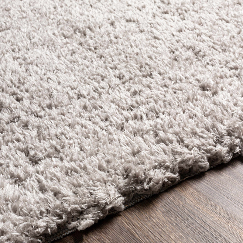 Tapis à poil long en polyester tissé à la machine Gilkey, Rectangle 3 pi 11 po x 5 pi 7 po