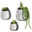 Ceramic Wall Planter-1699787903