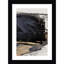 «Snap No3» par Dan Hobjour, impression sur bois encadrée-117266039-117266041