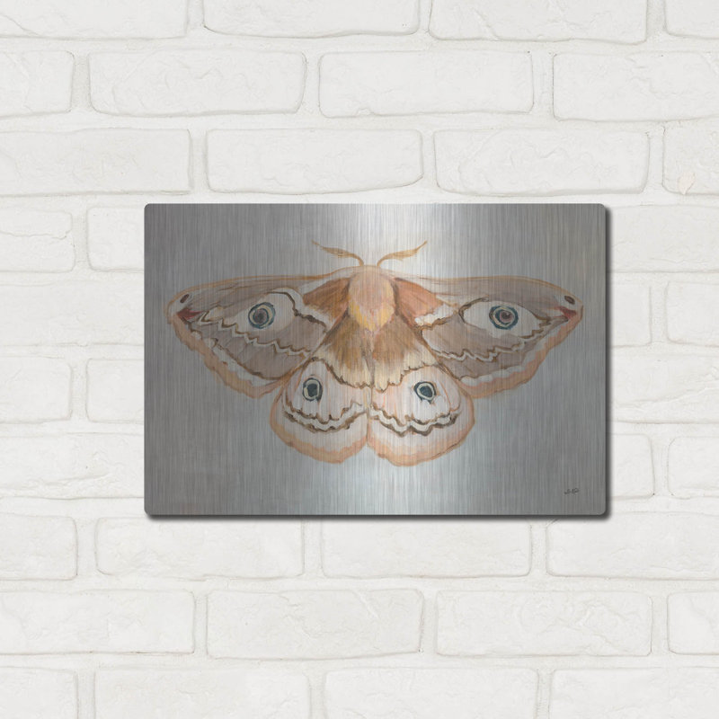 «Forest Moth 2» par Julia Purinton, art mural August Grove®, 16 po x 12 po, H 12 po x l 16 po