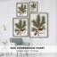 «Christmas Holiday Art», série 2-XLIX, reproduction encadrée - bois massif XMAI81827-1975505502