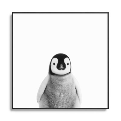 " Baby Penguin Black White "