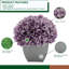 Arrangement d'hortensias lavande en pot synthétique-1553681561-1488260805