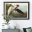 Héron mauve - reproduction d'art sur toile-372557868-372557869