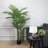 60 " H Faux Palm Plant in Plastic Pot
