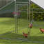 129m² Walk In Chicken Run