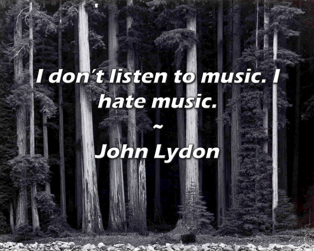 Latitude Run® John Lydon Quote I don’t listen to music. I hate music