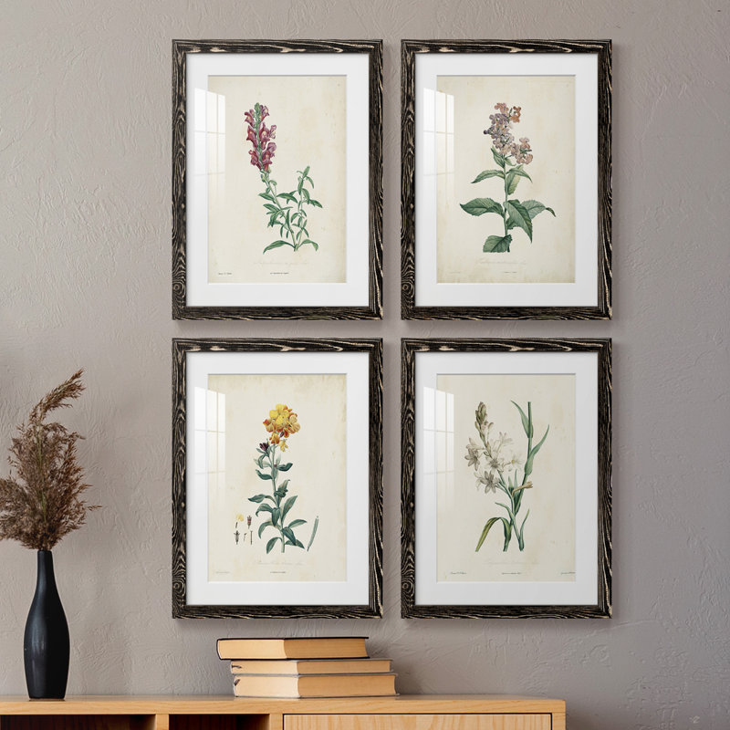 " Traditional Botanical I " 4 - Pieces Painting Print, 20" H x 17" W x 1" D, Black