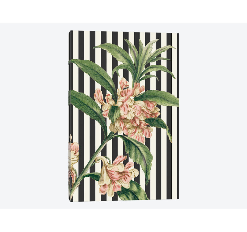 « herbes botanique xxvi bold », impression sur toile, H 12 po x l 8 po x P 0,75 po, Toile tendue, Pas de tapis
