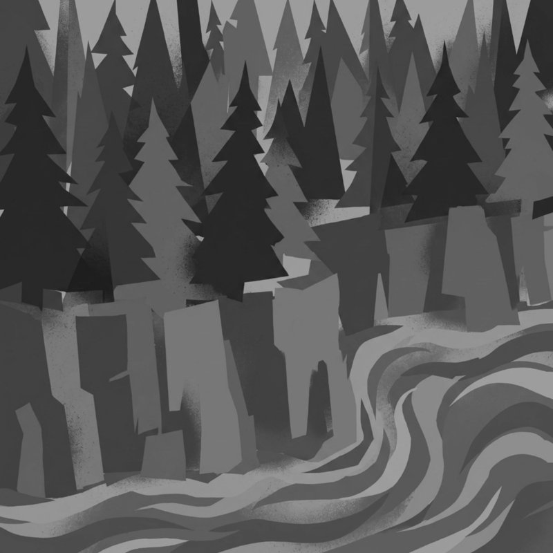 Couvertures de paysage Forest River, L 60 po x H 80 po, Medium Grey Black