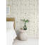 Beach Rose Floral Fruits Wallpaper-200201109