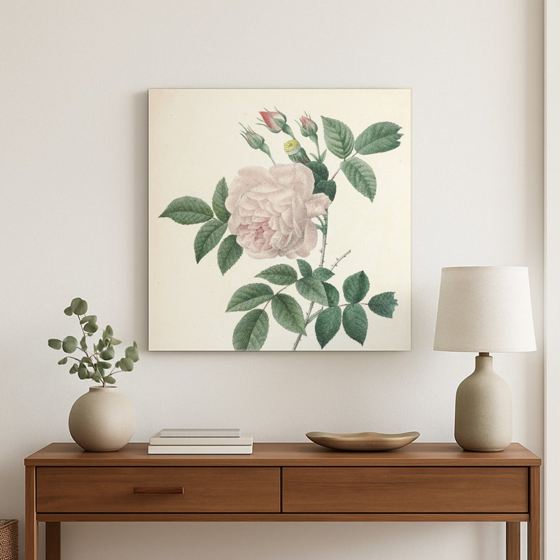 Rosa Indica / Grande Indienne (vers 1817) — Art mural carré en métal, 8" H x 8" W