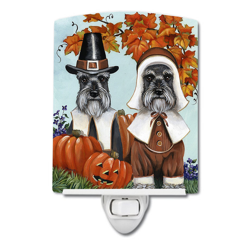 Veilleuse Schnauzer, Schnauzer pèlerins