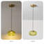 1 - Light Single Globe LED Pendant