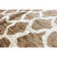 Ecco One-of-a-Kind 6' X 9' Area Rug