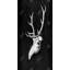 Deer Skull in the Dark - Rustic Living, reproduction encadrée-278390718