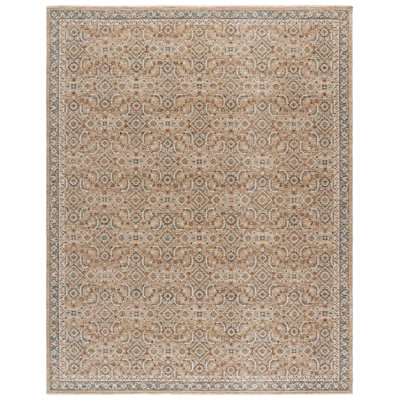 Oriental Indoor Rug