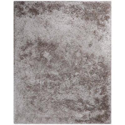 Pavilion Area Rug in Beige