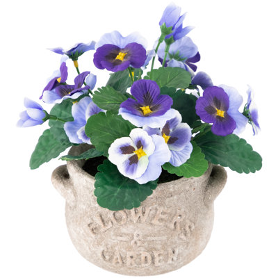 8 plantes