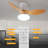 Benioff Ceiling Fan with LED Lights