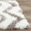 Carignan Chevron Cotton Hand Woven Area Rug-23538942