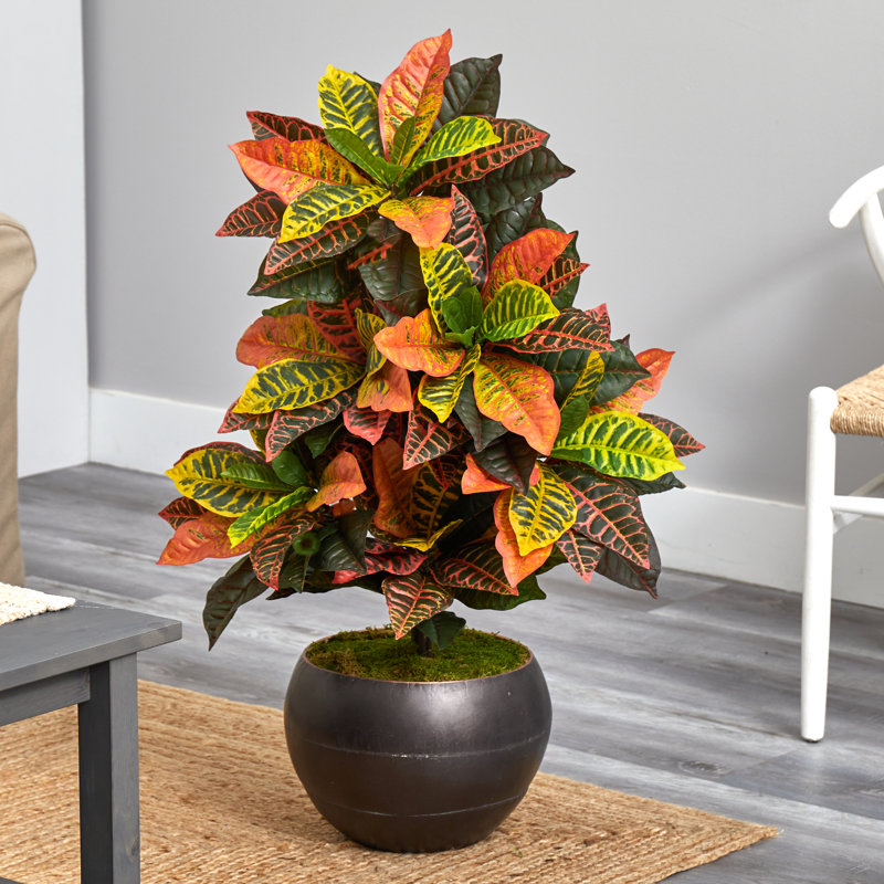 Plante croton artificielle en pot de fleurs