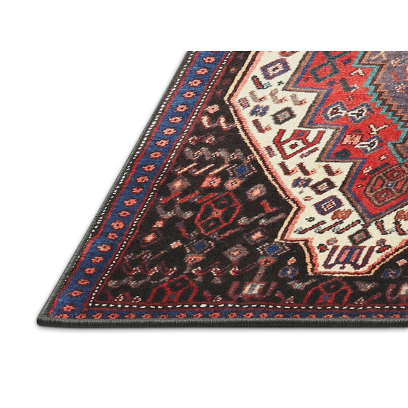 Tapis décoratif de style sud-ouest Rainier, Rectangle 4 pi x 6 pi
