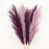 Dark Purple/Lavender