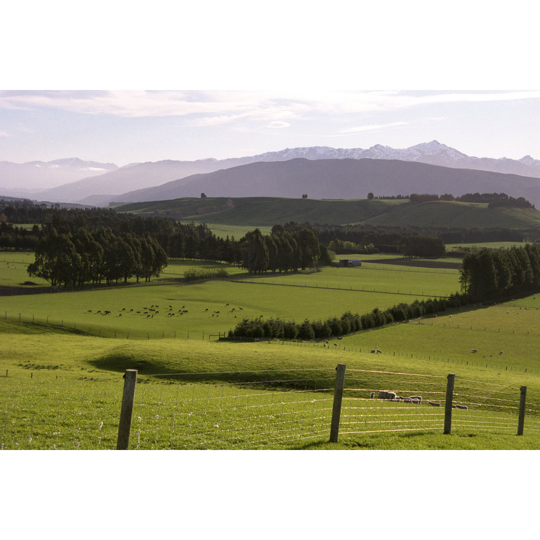 Neuseeländische Pastorale von Earleliason - Drucken