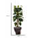 Panama 58'' Artificial Scindapsus Aureus Tree in Planter