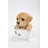 Teacup Labrador Puppy Statue