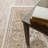Atherine Oriental Indoor Rug-616697293
