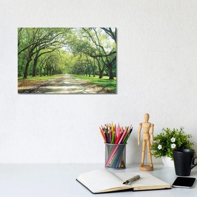 Live Oaks And Spanish Moss Wormsloe State Historic Site Savannah, Georgia by Panoramic Images - Wrapped Canvas Print