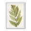 « simple forest iv »-reproduction d’image sur toile-48300440-48300441