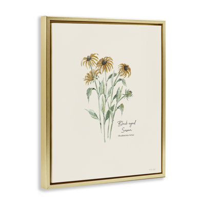 «Black Eyed Susans» par Cindy Jacobs