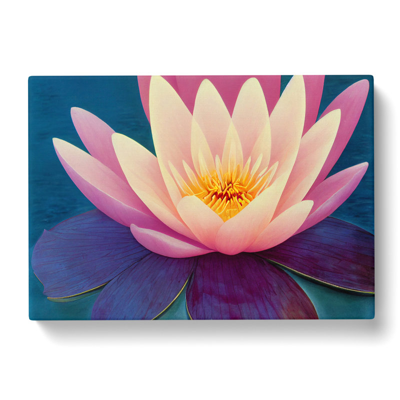 Radiant Water Lily Flower - Wrapped Canvas, 35cm H x 50cm W x 3cm D