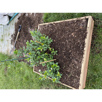 Lit de jardin surélevé en bois 3 pi x 3 pi